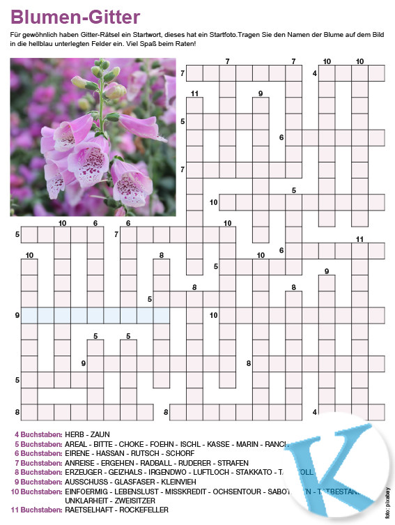 Gitterrätsel mit Fotostartwort