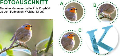 Fotoausschnitt