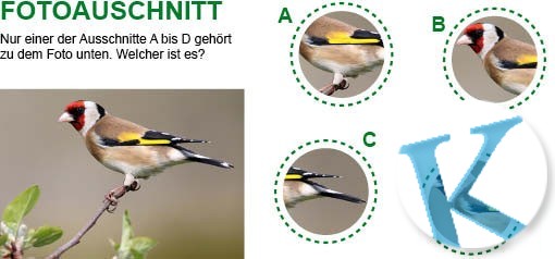 Fotoausschnitt