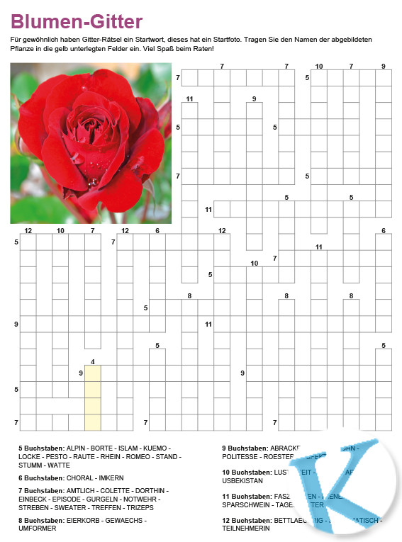 Gitterrätsel mit Fotostartwort