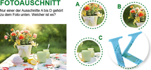 Fotoausschnitt