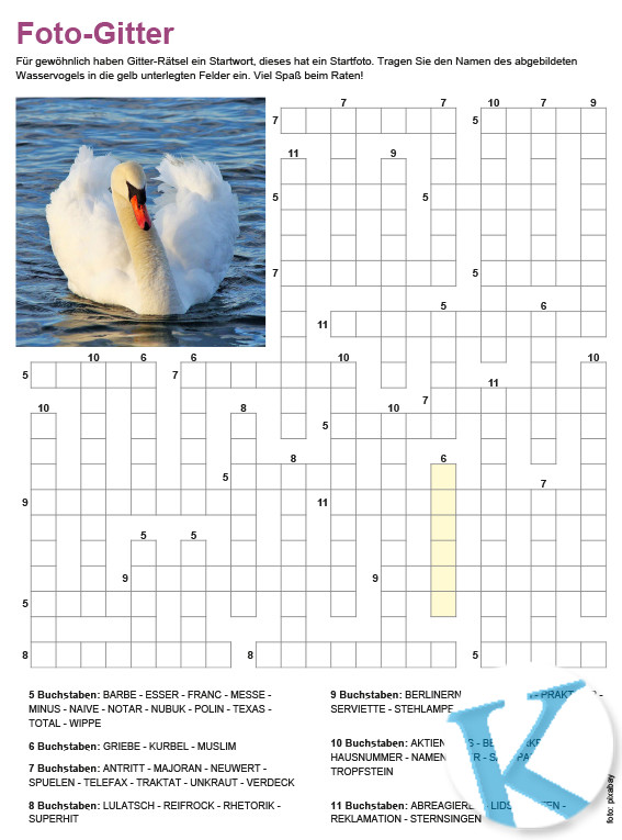 Gitterrätsel mit Fotostartwort