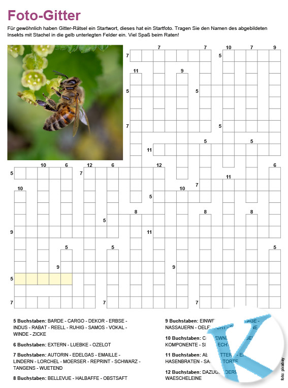 Gitterrätsel mit Fotostartwort