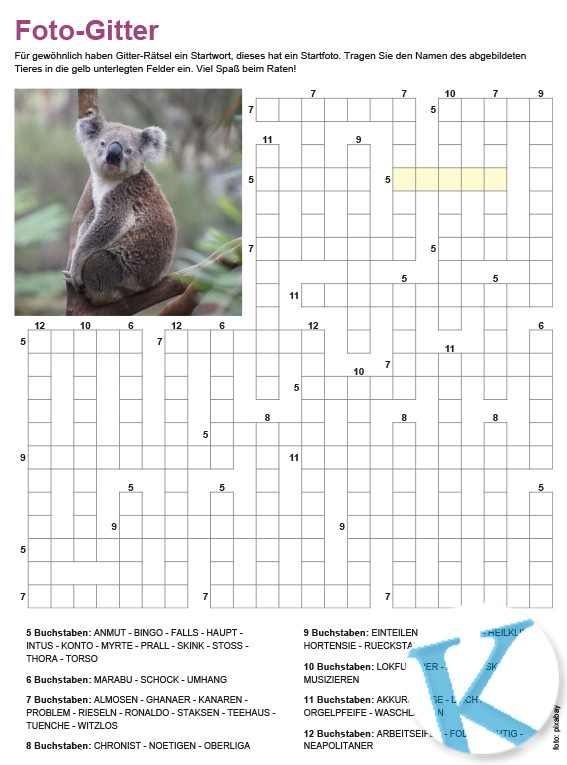 Gitterrätsel mit Fotostartwort