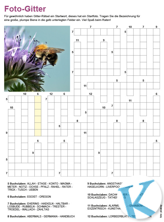 Gitterrätsel mit Fotostartwort