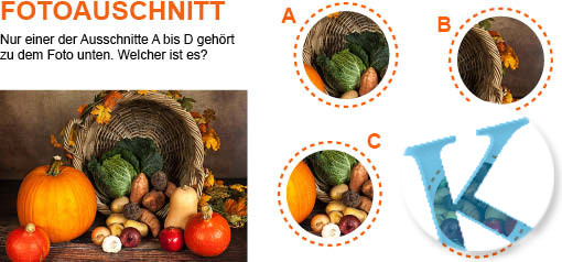 Fotoausschnitt