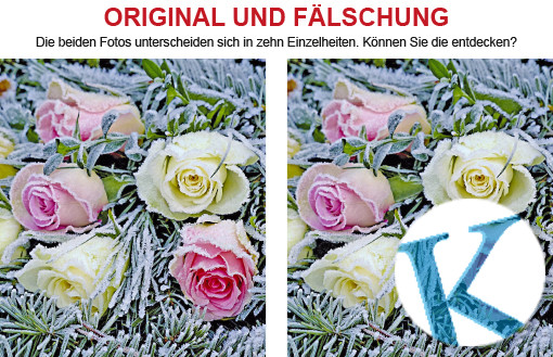 Original und Fälschung