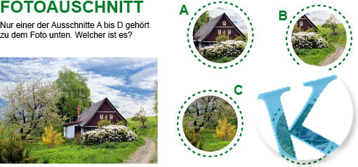 Fotoausschnitt