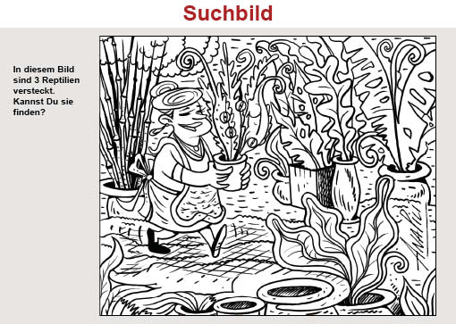 Suchbild s/w