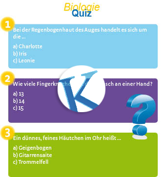 Quiz