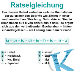 Rätselgleichung